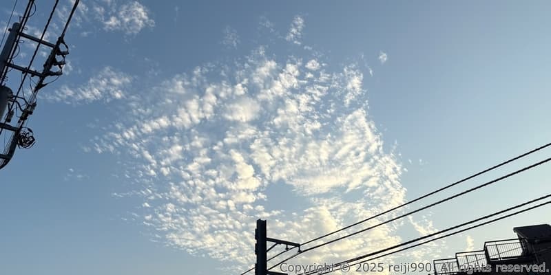 FIRE計画（嘘）